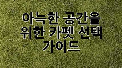 아늑한 공간을 위한 카펫 선택 가이드