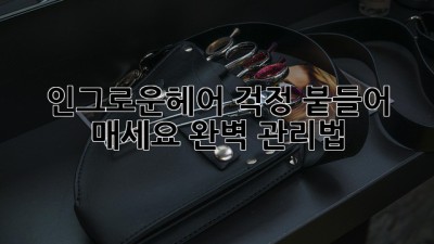 인그로운헤어? 걱정 붙들어 매세요! 완벽 관리법