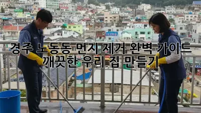 경주 노동동 먼지 제거🧹✨ 완벽 가이드! 깨끗한 우리 집 만들기