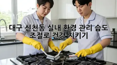 대구 신천동 실내 환경 관리: 습도 조절로 건강 지키기